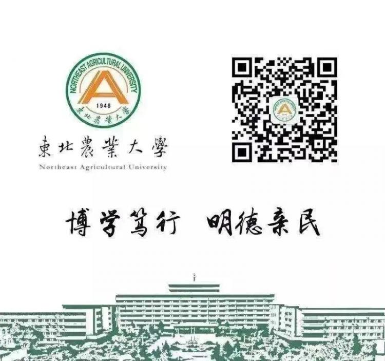 PG娱乐电子·游戏官网健身迎冬奥｜寒假锻炼计划（三）(图2)