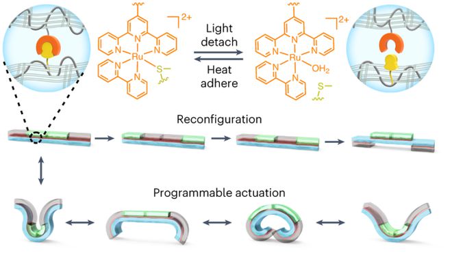 中科大吴思教授最新Nature Chemistry！(图2)