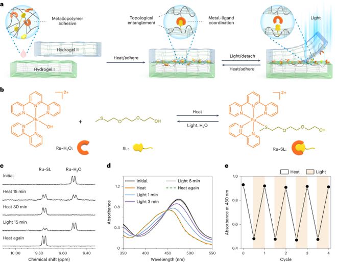 中科大吴思教授最新Nature Chemistry！(图3)