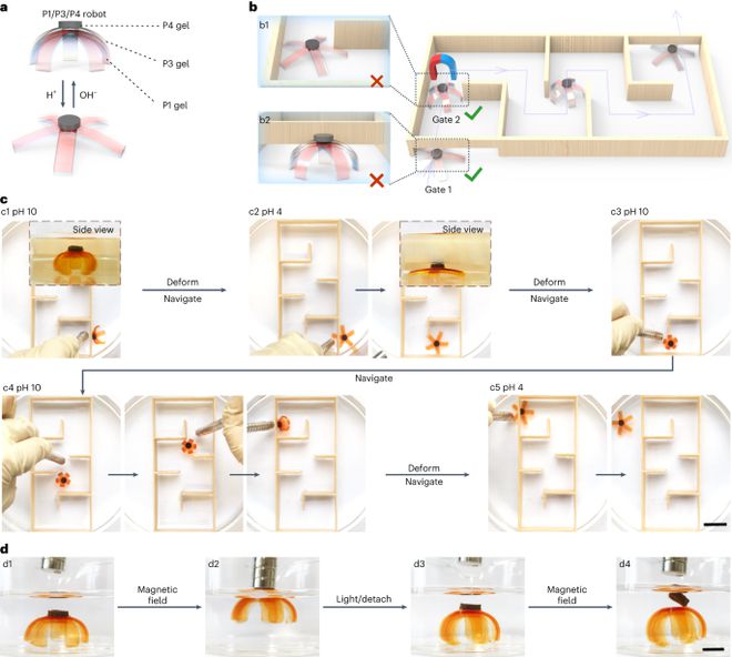 中科大吴思教授最新Nature Chemistry！(图8)