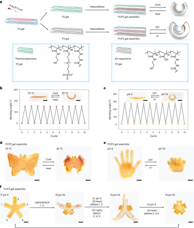 中科大吴思教授最新Nature Chemistry！(图6)