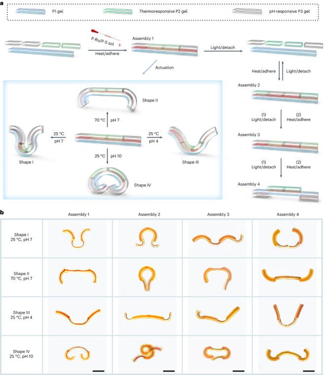 中科大吴思教授最新Nature Chemistry！(图7)